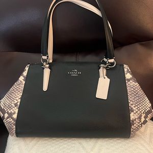 coach SMALL CHRISTIE CARRYALL WITH SNAKE EMBOSSED LEATHER TRIM (F57507)tote bag